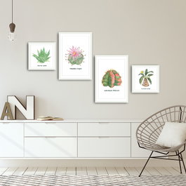 Wallity Cuadro Decorativo Enmarcado 4 Piezas Multicolor